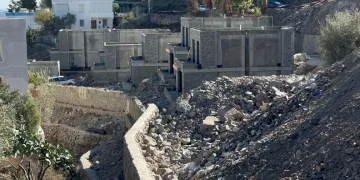 Bodrum’da ağaç katliamı cezası
