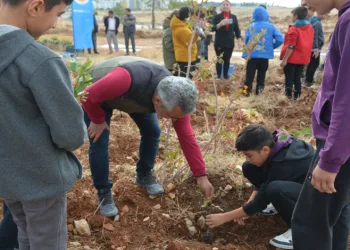 Öğretmenler Günü için 300 fidan