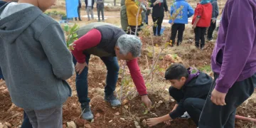Öğretmenler Günü için 300 fidan
