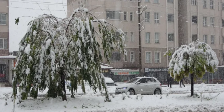 84 köy yolu ulaşıma kapandı