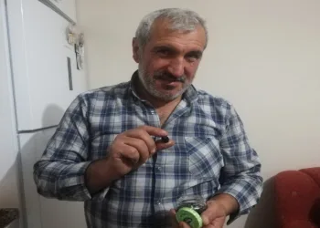 Malatyalı çiftçinin zeytin sevinci