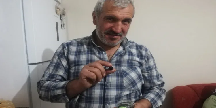 Malatyalı çiftçinin zeytin sevinci