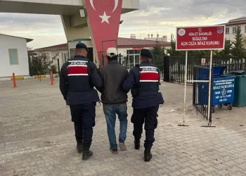 Ormanlık alanda yıldırım düşmesi sonucu çıkan yangın söndürüldü