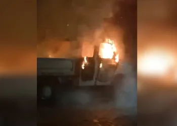Edirne’de kaçak göçmen operasyonu: Kıskıvrak yakalandılar