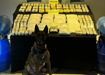 Arnavutköy’de bir çocuk düşürdüğü parasını almak için girdiği anıtta mahsur kaldı