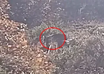 Samsun’da uyuşturucu ve silah operasyonu