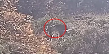 Samsun’da uyuşturucu ve silah operasyonu