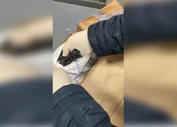 Eskişehir’de hapis cezası bulunan 53 kişi yakalandı