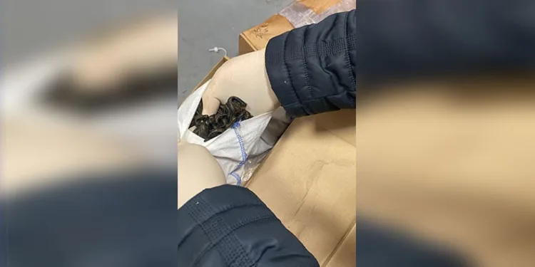 Eskişehir’de hapis cezası bulunan 53 kişi yakalandı