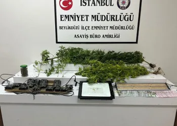 Kontrolden çıkan hafif ticari araç mısır tarlasına yuvarlandı: 5 yaralı