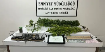 Kontrolden çıkan hafif ticari araç mısır tarlasına yuvarlandı: 5 yaralı