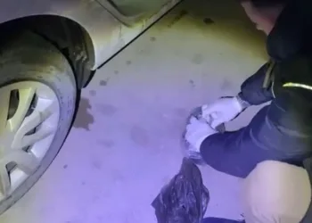 Kahta’da ‘Marka Şehir Vizyonu’ paneli düzenledi