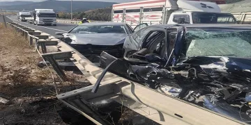 Yavru kediler varilde ölü bulundu