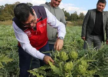 Bakan Işıkhan: ABB’nin borçları artıyor, haciz kaçınılmaz