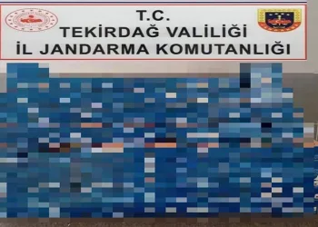 Edirne’de kaçak göçmen operasyonu: Kıskıvrak yakalandılar