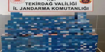 Edirne’de kaçak göçmen operasyonu: Kıskıvrak yakalandılar