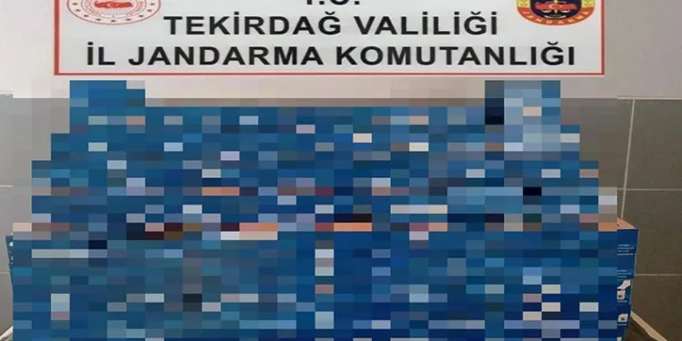 Edirne’de kaçak göçmen operasyonu: Kıskıvrak yakalandılar