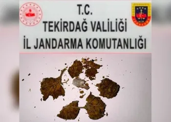 Tekirdağ’da iki araçta ruhsatsız silah ve fişek ele geçirildi
