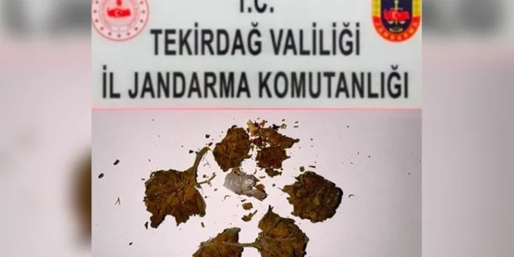 Tekirdağ’da iki araçta ruhsatsız silah ve fişek ele geçirildi