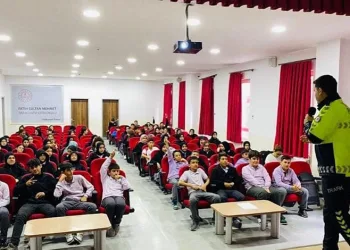 Yavru kediler varilde ölü bulundu