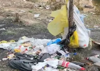 Erdek Kapıdağ Yarımadası’nda çevreye duyarsızlık: Temizlik vatandaşa kaldı