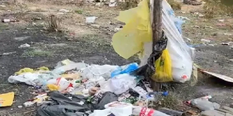 Erdek Kapıdağ Yarımadası’nda çevreye duyarsızlık: Temizlik vatandaşa kaldı