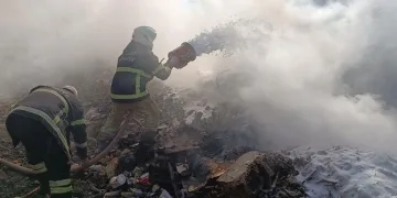 Denizdeki hayvan leşi Sahil Güvenliği alarma geçirdi
