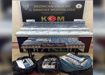 Kontrolden çıkan hafif ticari araç mısır tarlasına yuvarlandı: 5 yaralı