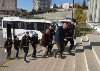 Yavru kediler varilde ölü bulundu