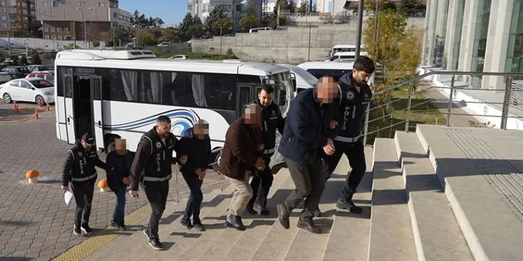 Yavru kediler varilde ölü bulundu