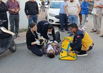 Yavru kediler varilde ölü bulundu