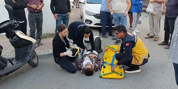 Yavru kediler varilde ölü bulundu