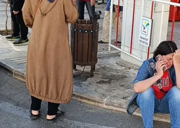 Yavru kediler varilde ölü bulundu