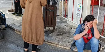 Yavru kediler varilde ölü bulundu
