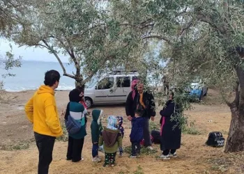Edirne menkezli 4 ilde oto dolandırıcılığı operasyonu: 5 tutuklama