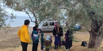 Edirne menkezli 4 ilde oto dolandırıcılığı operasyonu: 5 tutuklama