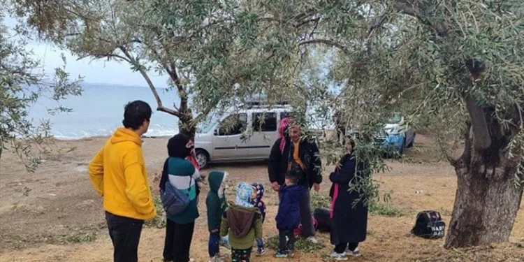 Edirne menkezli 4 ilde oto dolandırıcılığı operasyonu: 5 tutuklama