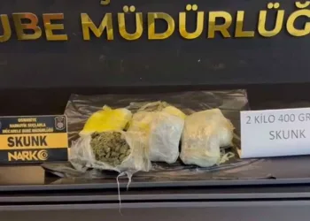 Menteşe’de orman yangını, söndürme çalışmaları sürüyor