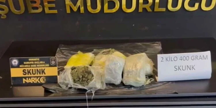 Menteşe’de orman yangını, söndürme çalışmaları sürüyor