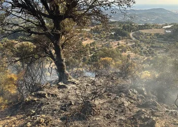 Düğün konvoyunda kaza: 4 yaralı