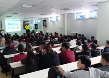 Yavru kediler varilde ölü bulundu