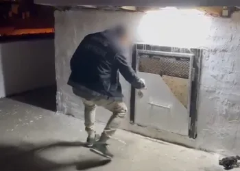 Kontrolden çıkan hafif ticari araç mısır tarlasına yuvarlandı: 5 yaralı