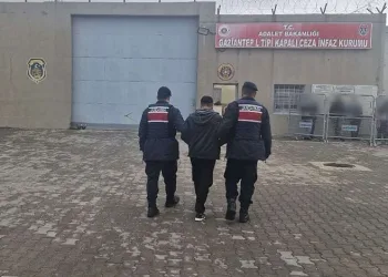 Yanan restorana unuttuğu cep telefonunu almak için geri girince hayatını kaybetti