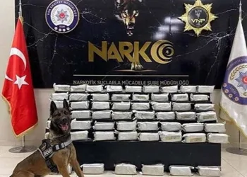 Kahta’da ‘Marka Şehir Vizyonu’ paneli düzenledi