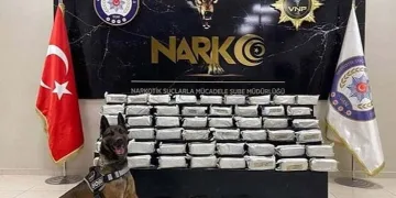 Kahta’da ‘Marka Şehir Vizyonu’ paneli düzenledi