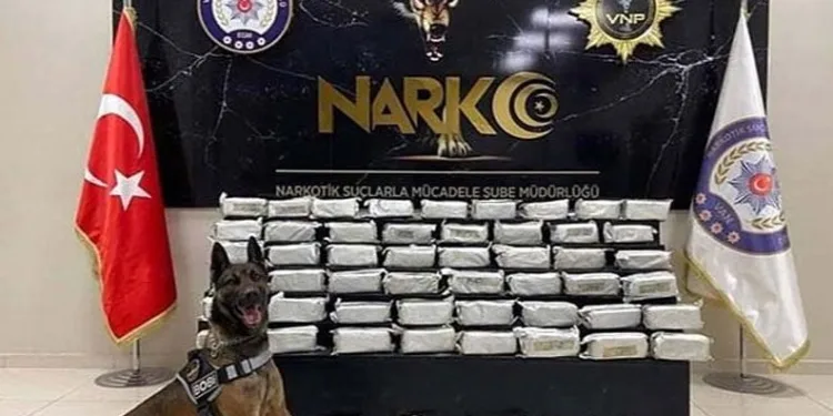 Kahta’da ‘Marka Şehir Vizyonu’ paneli düzenledi