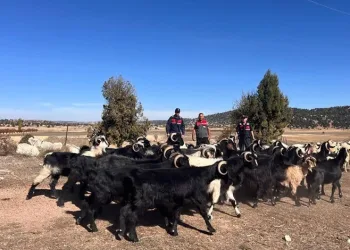 Mersin’de kaçak makaron ve sahte içki ele geçirildi