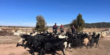 Mersin’de kaçak makaron ve sahte içki ele geçirildi