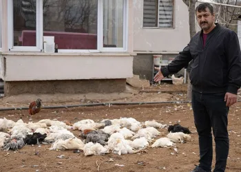 Kahta’da ‘Marka Şehir Vizyonu’ paneli düzenledi
