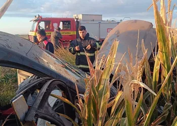 Kontrolden çıkan hafif ticari araç mısır tarlasına yuvarlandı: 5 yaralı